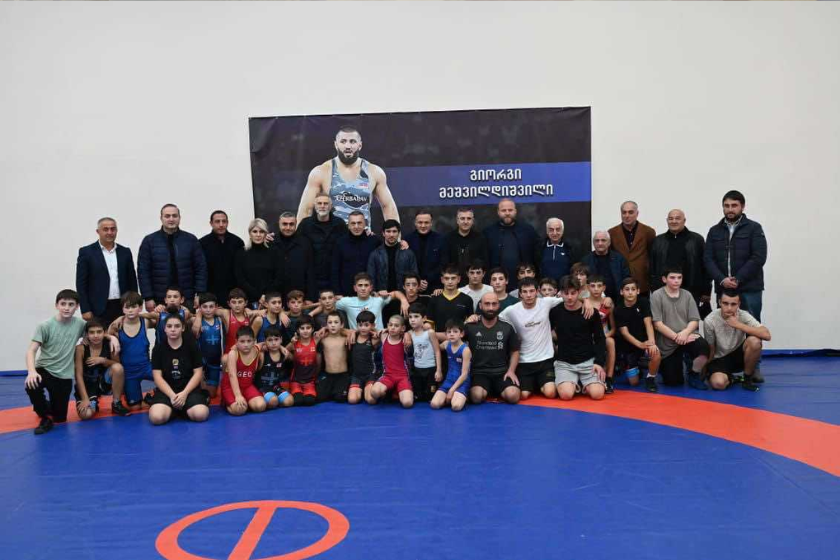 სპორტისა და დიასპორის კომიტეტების წევრებმა ონისა და ამბროლაურის მუნიციპალიტეტებში სპორტული ინფრასტრუქტურა დაათვალიერეს