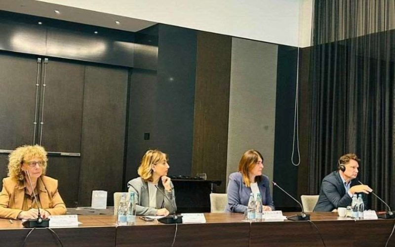 საქართველოს მდინარეთა აუზებისთვის მრავლობითი საფრთხის რისკის მართვის გეგმების შემუშავების თემაზე საკონსულტაციო შეხვედრა…