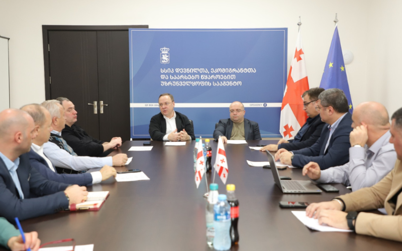 დევნილთა სააგენტო იძულებით გადაადგილებულ 300 ოჯახს სახლს შეუსყიდის