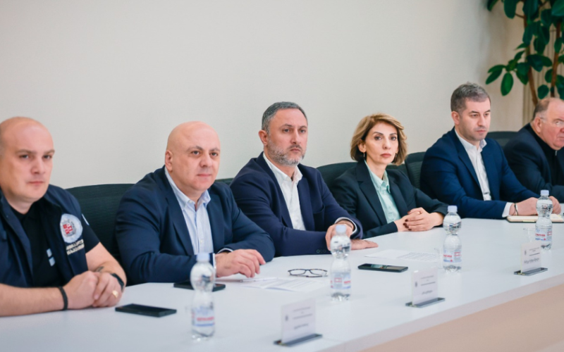 რუსთავის საკრებულოში გარემოს დაცვის საკითხებზე შეხვედრა გაიმართა
