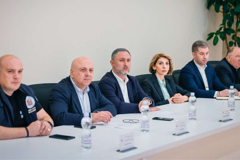 რუსთავის საკრებულოში გარემოს დაცვის საკითხებზე შეხვედრა გაიმართა