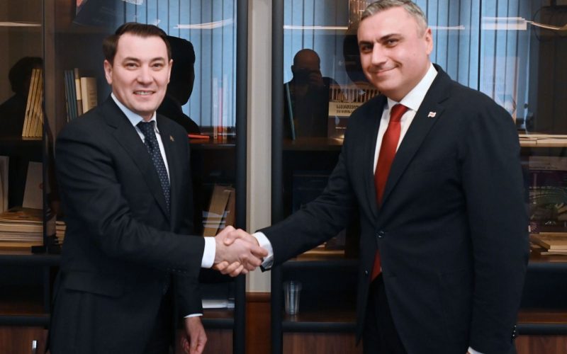 დავით მათიკაშვილი თურქმენეთის ელჩს შეხვდა