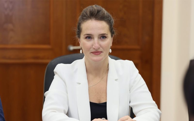 მარიამ ლაშხი თეიმურაზ პაპასკირის განცხადებაზე: თუ ეს გეგმა ერთობლივი არ არის, მაშინ არ გეცოდინება, რა გადაწყვეტილებას…