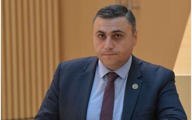 დავით მათიკაშვილი საია-ს სარჩელზე: სამსჯელო და საფიქრალი, შესაძლოა, ბევრი არ ჰქონდეს სტრასბურგის სასამართლოს, რადგან…