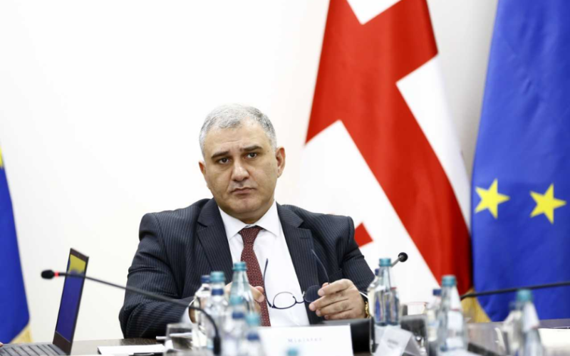 მიხეილ სარჯველაძე: გრიპის სეზონის მიუხედავად, ვითარება კონტროლს ექვემდებარება, მდგომარეობა ნორმალურია და პანიკის მიზეზი არ…