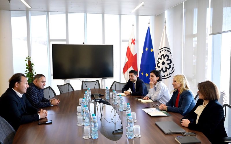 საქართველოს ეროვნული ბანკის პრეზიდენტი იაპონური ჰოლდინგის Gojo&Company-ის მმართველ პარტნიორს შეხვდა