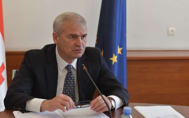 ირაკლი ქადაგიშვილი დაპატიმრებულ აქტივისტებზე: ამბობენ, რომ არანაირ შეწყალებას არც ითხოვენ, არც აღიარებენ და შეწყალება რომ…