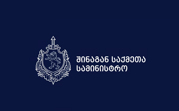 თბილისის აეროპორტში უცხო ქვეყნის მოქალაქე ყალბი დოკუმენტით საზღვრის უკანონო გადაკვეთის მცდელობისას დააკავეს