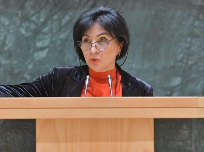 ირმა ზავრადაშვილი: ორი ხელისუფლება დაესხა თავს “იმედს” მისი არსებობის მანძილზე – “ნაციონალური მოძრაობის” რეჟიმი და…