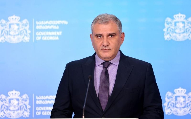 მიხეილ სარჯველაძე სოციალურად დაუცველთა ბაზაში რეგისტრირებულთა გადამოწმებაზე: მინდა ყველას, ვისაც შეხება ექნება ამ…