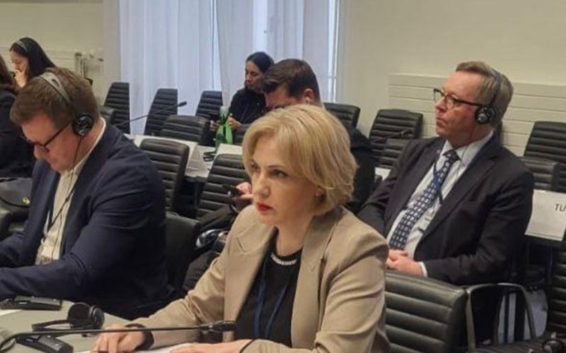 საქართველოს პარლამენტის მუდმივმოქმედი დელეგაციის წევრი ეუთო-ს საპარლამენტო ასამბლეაში, ეკა სეფაშვილი სიტყვით გამოვიდა…
