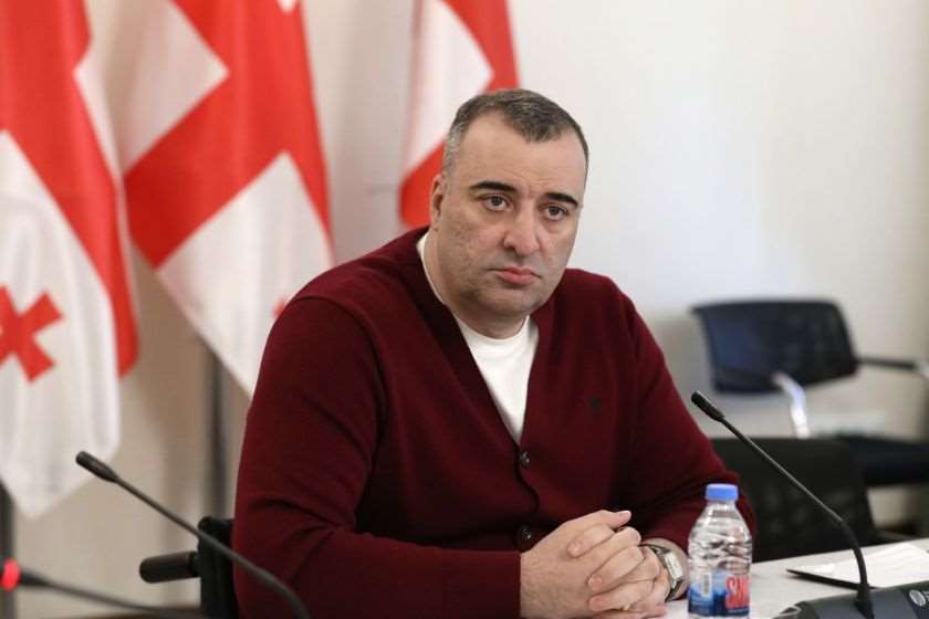 იონათამიშვილი: გახარიას პარტიის 7-მა წევრმა შშმ პირთა უფლებების საწინააღმდეგოდ მისცა ხმა! თუ არ იცოდნენ, რომელი საკითხი…