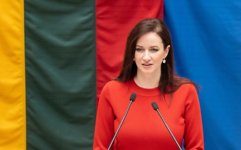 ლიეტუვის პრემიერის განცხადებით, სამხედრო დრონი, რომელიც მათ ტერიტორიაზე ჩამოვარდა, უკრაინიდან იყო
