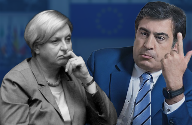 ანა ფოტიგამ, რომელიც სააკაშვილის გათავისუფლებას ითხოვდა, განაცხადა, რომ პოლიტიკური კარიერა დაასრულა
