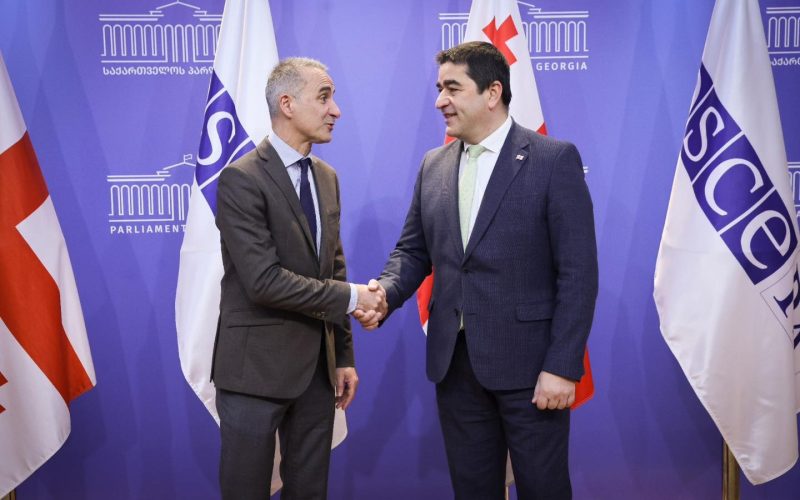ეუთოს საპარლამენტო ასამბლეის პრეზიდენტი: კარგი და გულწრფელი შეხვედრა გვქონდა საქართველოს პარლამენტის თავმჯდომარესთან
