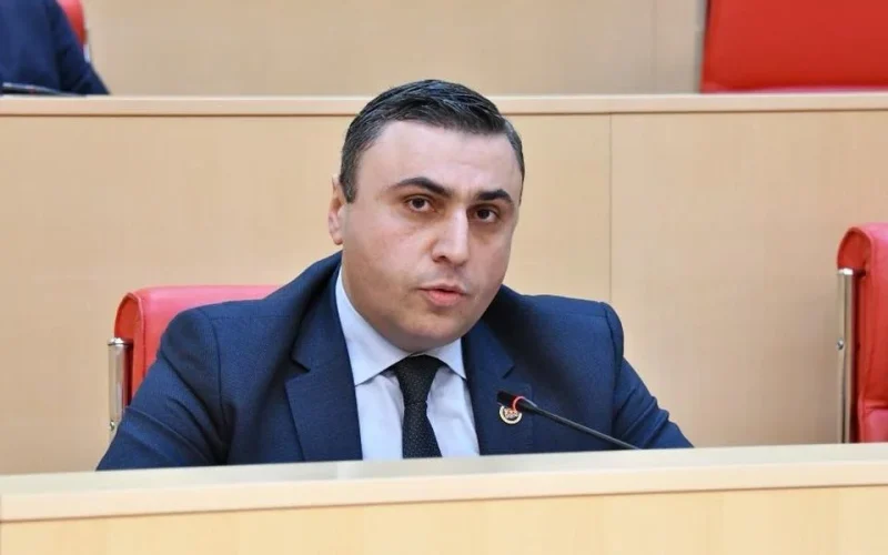 დავით მათიკაშვილი ელენე ხოშტარიაზე: ვერანაირი პოლიტიკური მანტია ვერ იქნება ინდულგენცია ვერავისთვის