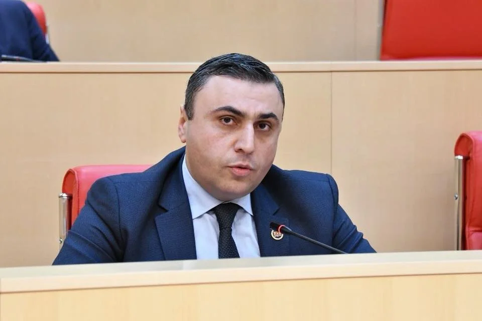 დავით მათიკაშვილი ელენე ხოშტარიაზე: ვერანაირი პოლიტიკური მანტია ვერ იქნება ინდულგენცია ვერავისთვის