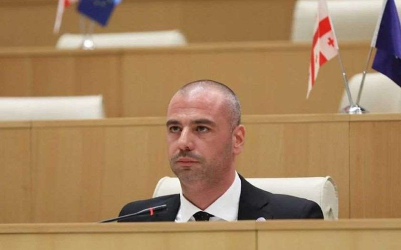 ლევან მაჭავარიანი – მდიდარი ენჯეოები, რადიკალური ოპოზიცია და აქტივისტების ნაწილი, დაკავებული იყვნენ საპატრიარქოს…