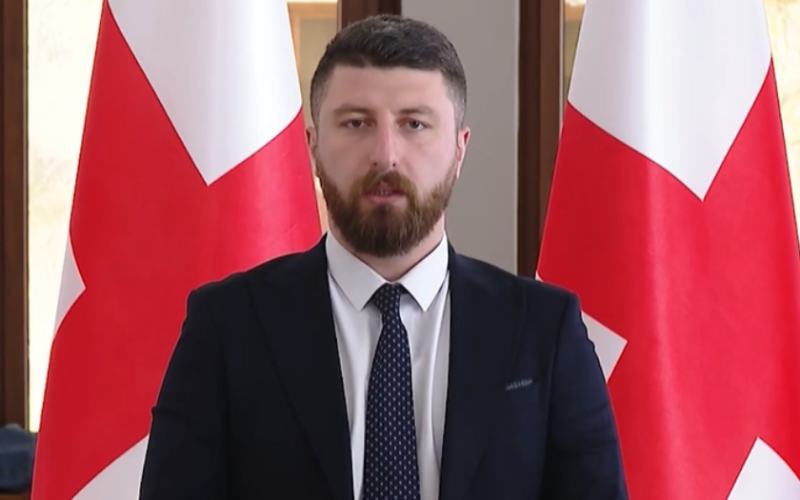 გეოპოლიტიკური მდგომარეობიდან გამომდინარე, გვიწევს ყოველდღიური ბრძოლა გადარჩენისთვის, ამ ბრძოლაში კი საკანონმდებლო…