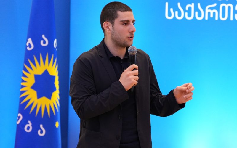 ნუგო შოშიაშვილი: რეგიონულმა კონფერენციებმა დაგვანახა, რომ ეს და მსგავსი ღონისძიებები არის უალტერნატივო საშუალება…