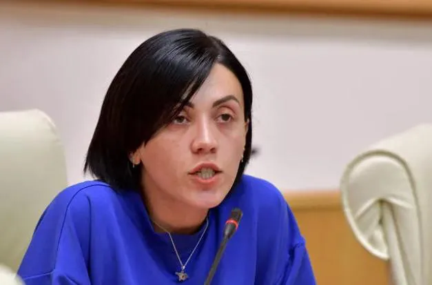 ანა წითლიძე: 2021 წელს “ნაციონალური მოძრაობის” თავმჯდომარე იყო ნიკა მელია, მთავარი იდეოლოგი იყო ნიკა გვარამია და ბევრ…