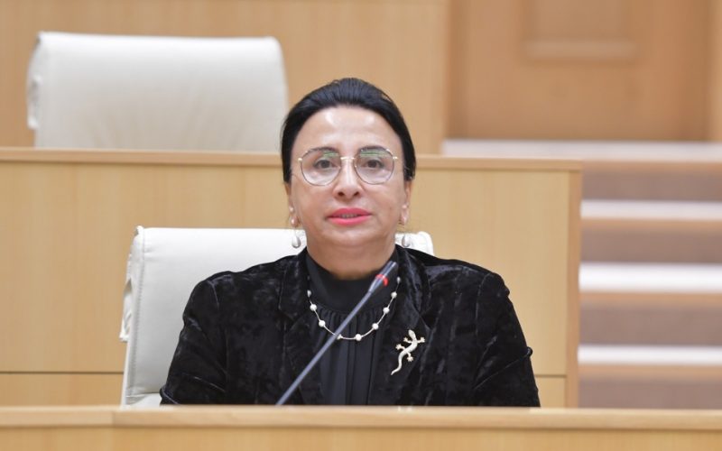 რიმა ბერაძე: ე.წ. ოპოზიცია დარჩა იქ, სადაც მისი ადგილია. ჩვენ კი, ქვეყანაში წარმატებული საქმიანობის ახალი მაგალითები…