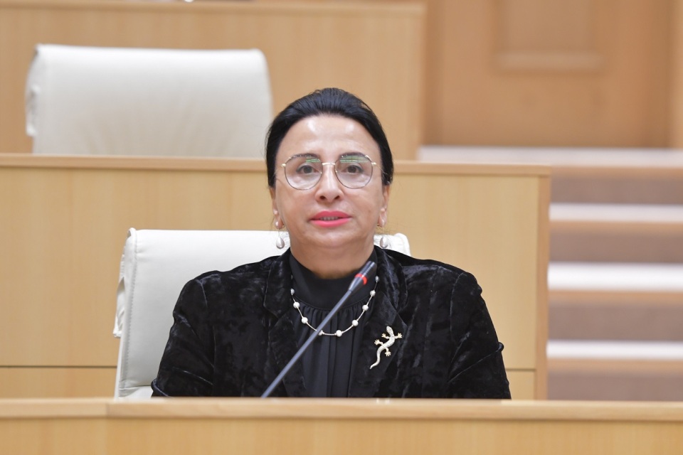 რიმა ბერაძე: ე.წ. ოპოზიცია დარჩა იქ, სადაც მისი ადგილია. ჩვენ კი, ქვეყანაში წარმატებული საქმიანობის ახალი მაგალითები…