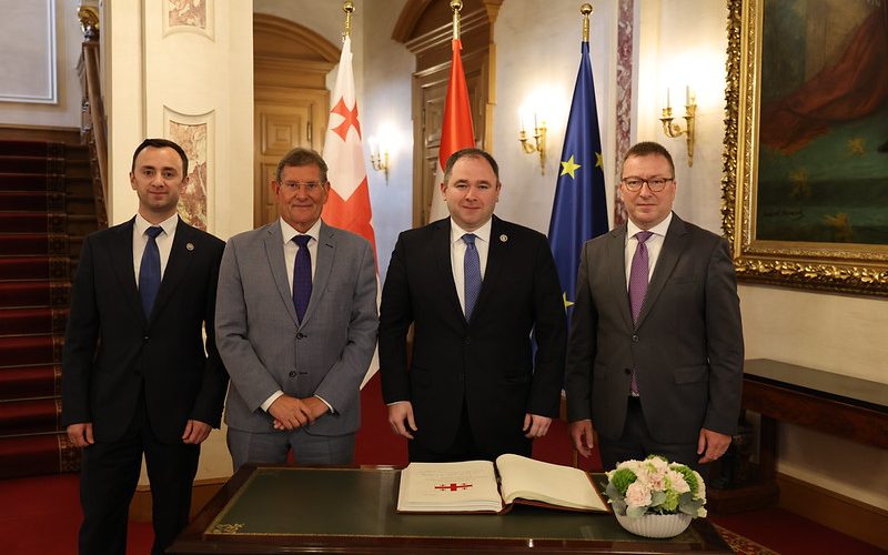 საქართველოს პარლამენტის დელეგაციამ ლუქსემბურგის პარლამენტში საქართველო-ევროკავშირის ურთიერთობები განიხილა