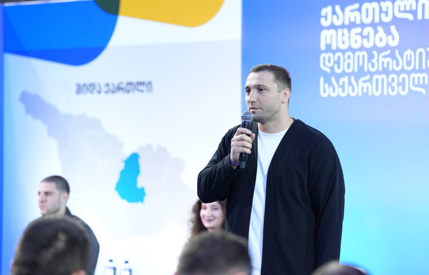 ვარლამ ლიპარტელიანი ოპოზიციის აქტივისტ ელენე ქაიხოსროშვილს: ქალბატონს დასცინით მხოლოდ იმის გამო, რომ შეკითხვის დასმის დროს…