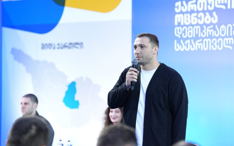 ვარლამ ლიპარტელიანი ოპოზიციის აქტივისტ ელენე ქაიხოსროშვილს: ქალბატონს დასცინით მხოლოდ იმის გამო, რომ შეკითხვის დასმის დროს…