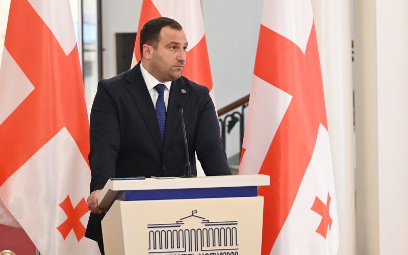 ირაკლი კირცხალია – ევროპარლამენტის ამ რეზოლუციას აქვს რასა იუკნევიჩიენეს ფასი
