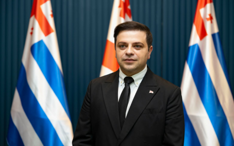 ცოტნე ანანიძე: ბიძინა ივანიშვილს ბევრი დიდი ქართული საქმე აქვს გაკეთებული და მათ შორის უდიდესია პოლიტიკური პარტიის…