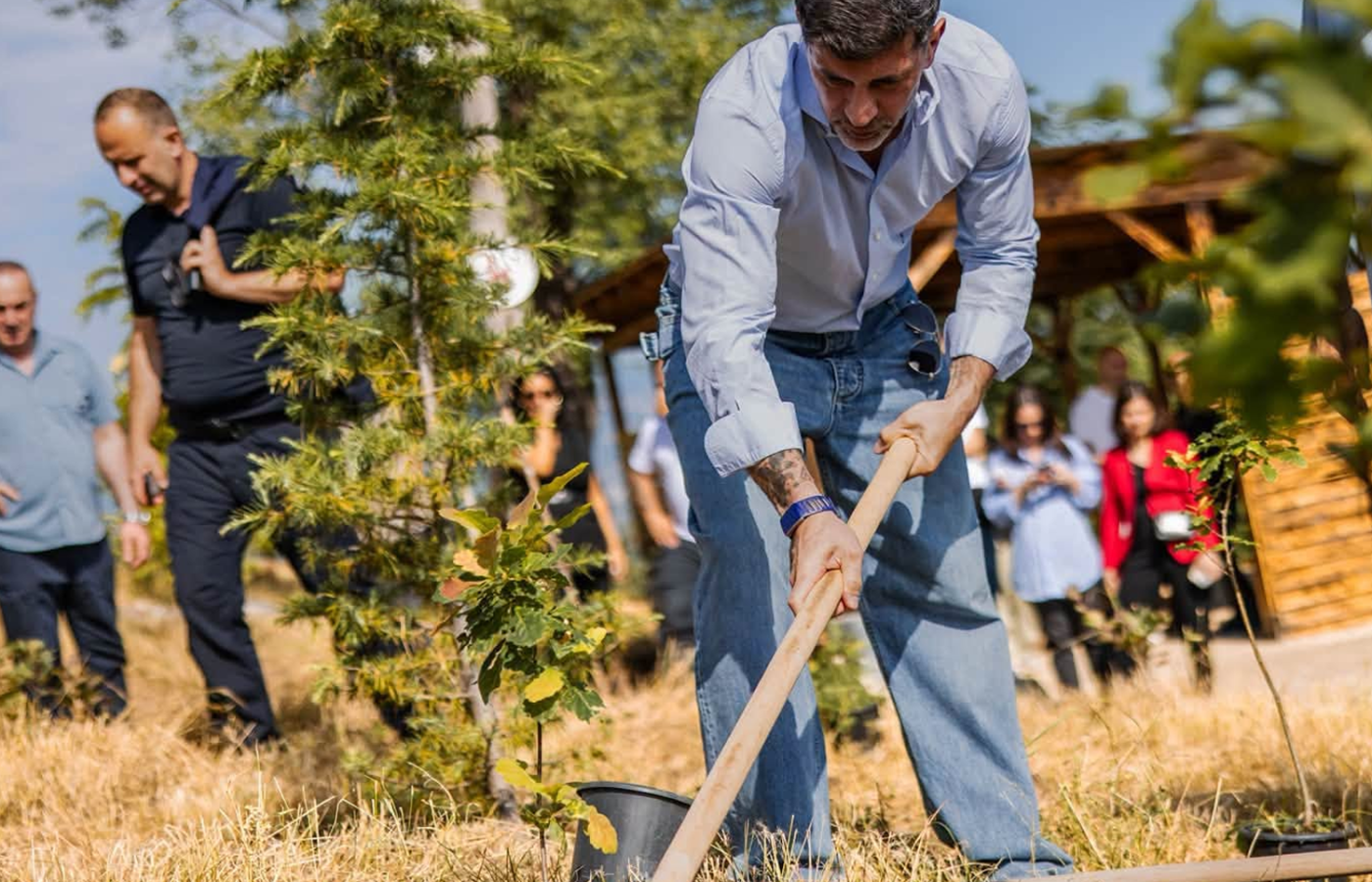 “თბილისის ურბანული ტყის” პროექტი მთაწმინდის ფერდზე დასრულების ეტაპზეა