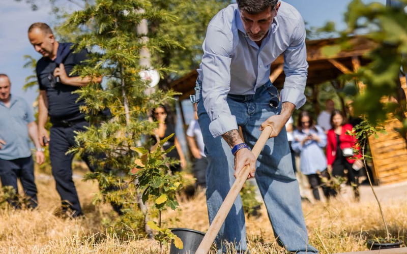 “თბილისის ურბანული ტყის” პროექტი მთაწმინდის ფერდზე დასრულების ეტაპზეა