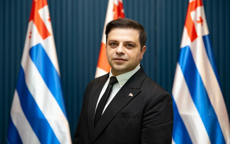 ცოტნე ანანიძე გვარამიას მიერ ღარიბაშვილის შესახებ გაკეთებულ განცხადებაზე: გვარამია წარუმატებელი შურისმაძიებელია, რომელიც…