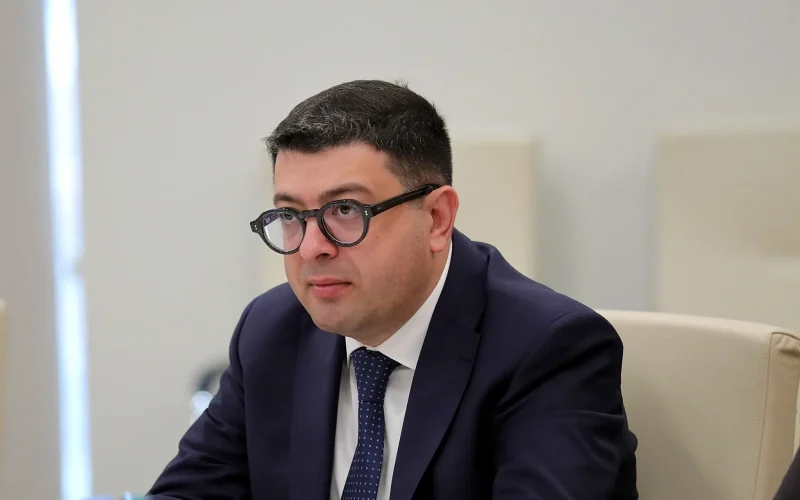 დიმიტრი სამხარაძე: გახსოვთ ალბათ, „შავ სიაში“ მყოფი ადამიანები – 600 ათასზე მეტ მოქალაქეზეა საუბარი, რომელთაგან, ბიძინა…