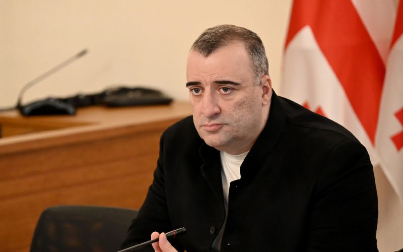 რატი იონათამიშვილი: 226 მსჯავრდებული მარიამობის დღესასწაულს საკუთარ ოჯახებში შეხვდა. ეს იყო სახელმწიფოს მეთაურის და…